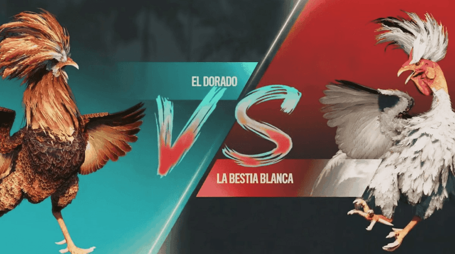 diorpg Plataforma de Slots